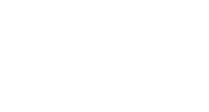 Ems Fehn Group Logo weiß